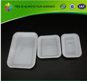 Reusable Frozen Packing Food Tray