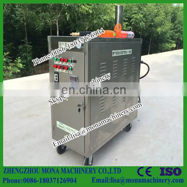 Electric Pump Portable High Pressure Steam Car Wash Machine Steam Cleaning Machine photo-3