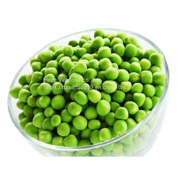 Frozen Green Beans Pods photo-4