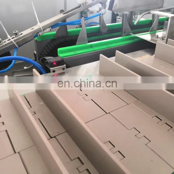 Automatic Box Cartoning Packing Machine for Butter Cookie Bag photo-4