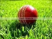 Leather Ball