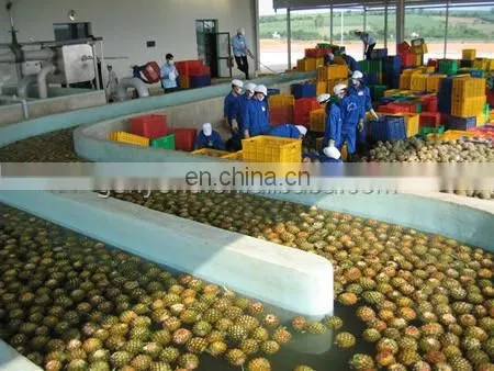 Shanghai Pineapple Peeling Machine photo-3