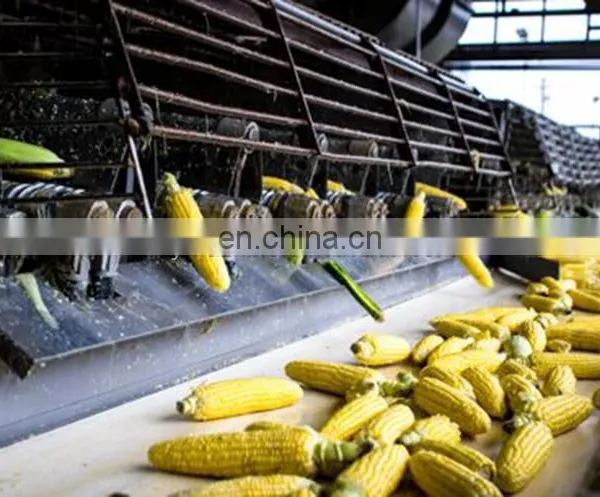 Industrial Sweet Corn Processing Line Include Threshing Blanching Washing Dewatering Air Drying Machine photo-3