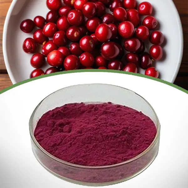 Cranberry Extract