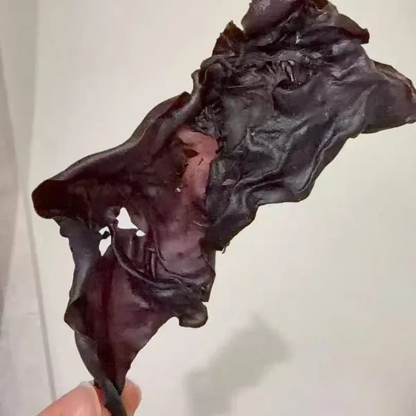 Premium Quality Dulse Seaweed Red Dulse Palmaria Palmata Flakes and Powder for Culinary Use and Food Supplement - Natural Iodine and Iron Source photo-2