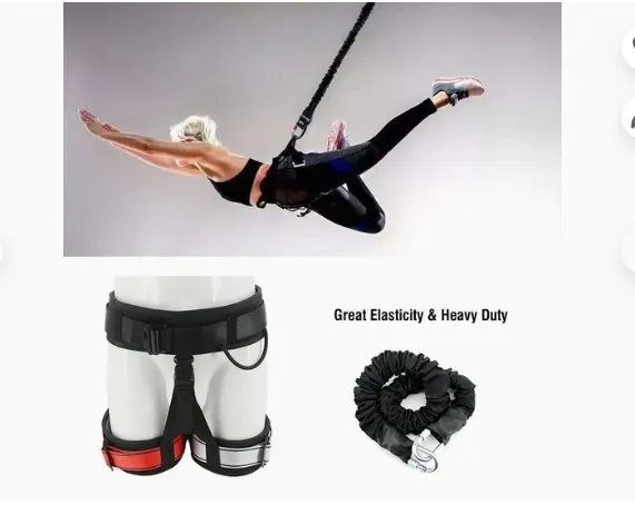 Aerial Yoga Cord Pilates Elastic Suspension Sling Trainer Bungee Pull Rope photo-3