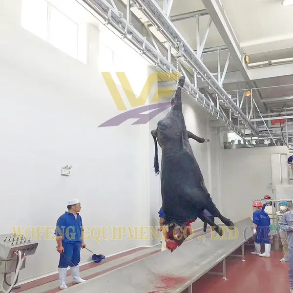 Turnkey 100 Cattle Per Shift Butcher Machine Abattoir Equipment Slaughterhouse for Cows and Lamb Meat Processing Machinery Plant