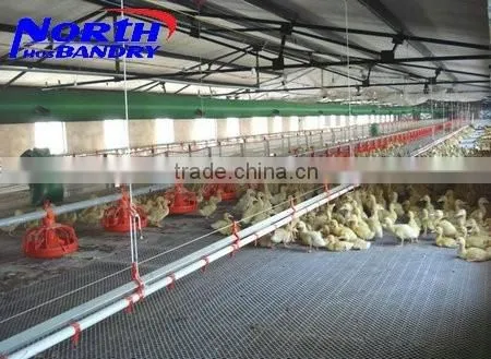 Prefabricated Low Cost Steel Poultry Shed for Chicken photo-3
