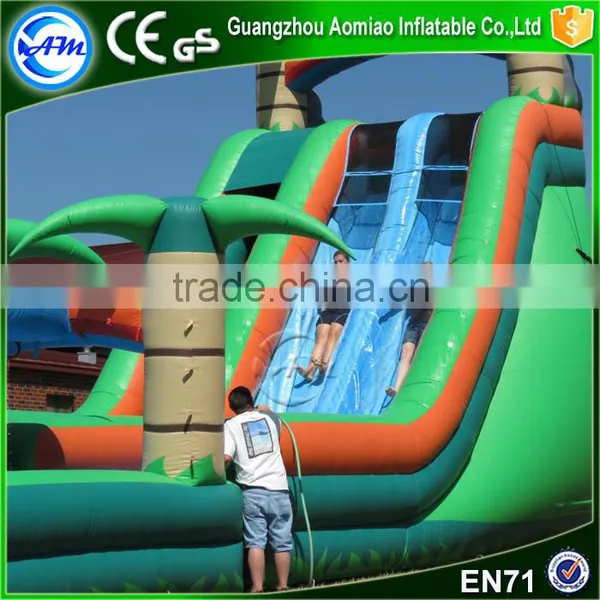Funny Exciting Entertainment Inflatable Slip n Slide Giant Inflatable Water Slide Supplier's Choice photo-3