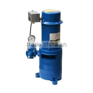Centriugal Pump Vertical Multistage With Nema Motor Two-stage High Perssure Water Pump