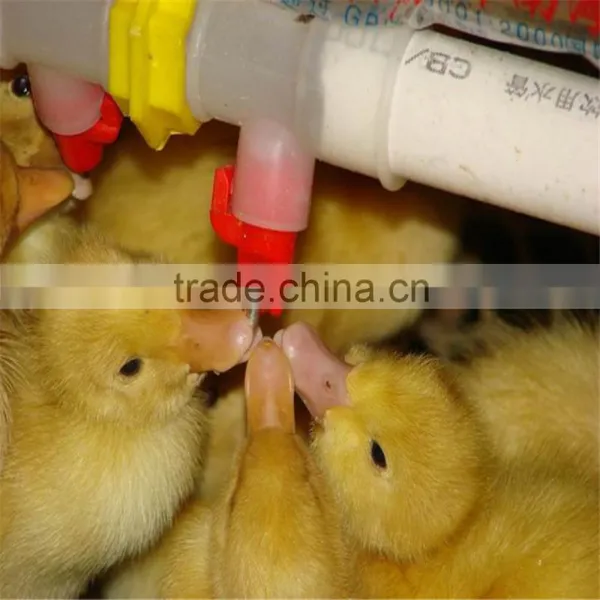 Hot Sales Drinking Nipples Can Install in the Layer Cage photo-3