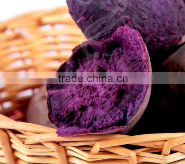 Fresh Purple Sweet Potato For Sweet Potato Buyers photo-5