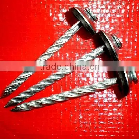 2.5" South African Market Twisted Nails photo-3