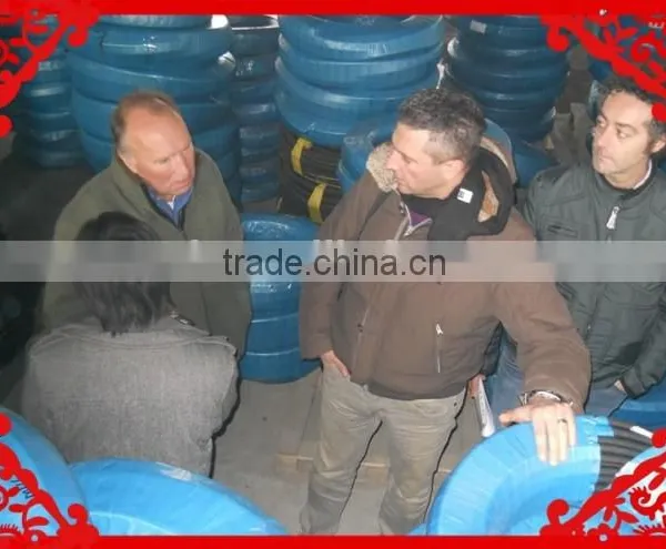 Hot Selling Cloth Surface Rubber Steam Hose photo-4