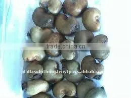 Cashew Nut In Shell DALL0000069