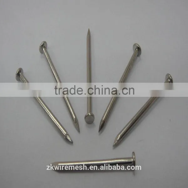 Common Round Nail/ Wire Nails/wood Nails +86 15132140964 Wechat/whatsapp photo-4