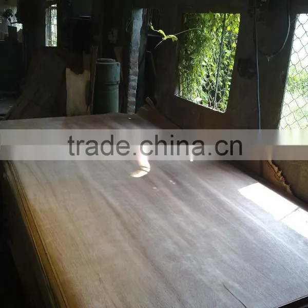 Keruing/Gurjan Veneer photo-6