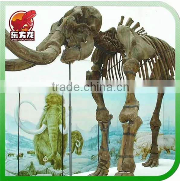 Animatronic Animal Skeleton