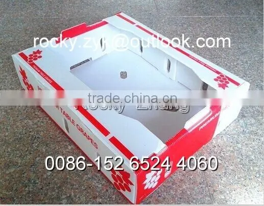 Corrugated PP Apple Packing Case Fruit Storage Carton Packaging Box photo-6
