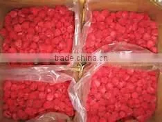 IQF Raspberry in Frozen Raspberry and frozen raspberries