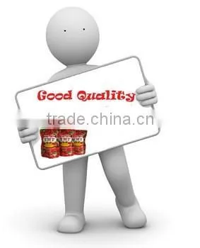 High Quality No Additive Hot Sell Sachet Tomato Paste photo-5