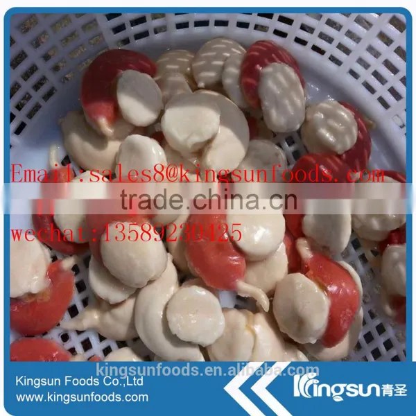Frozen Sea Scallop on Hot Sale