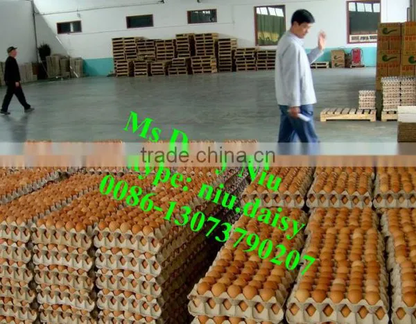 Automatic Egg Weighing Grading Machine/egg Grading Packing Machine/egg Grader for Packing photo-6