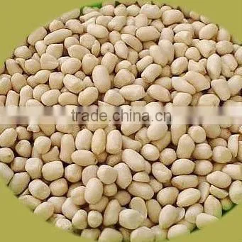 China Produce Authority Certification ISO9001 CE Blanched Peanut Kernels photo-3