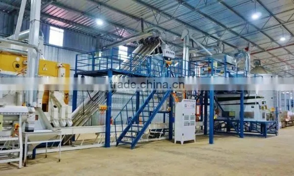 Seed Grain Bean Cleaning Plant photo-5