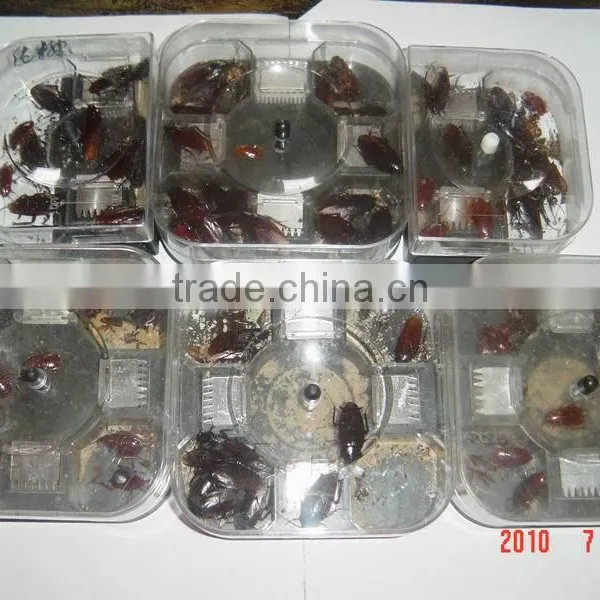 Cockroach Trap photo-2