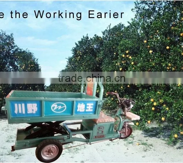 650W Farm Electric Cargo Box Tricycle/ Liftable and Lowerable photo-5
