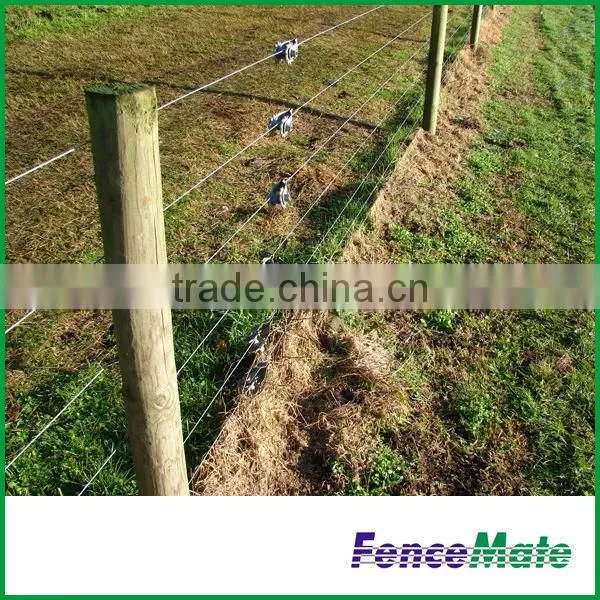 Electric Fence photo-3