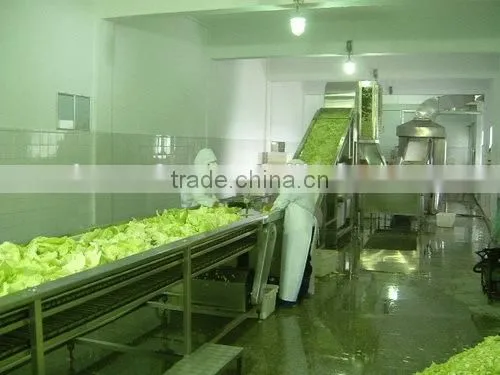 Custom Design Fruit And Vegetable Processing Line Machines