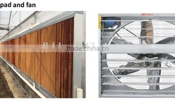 Greenhouse Exhaust Fan photo-3