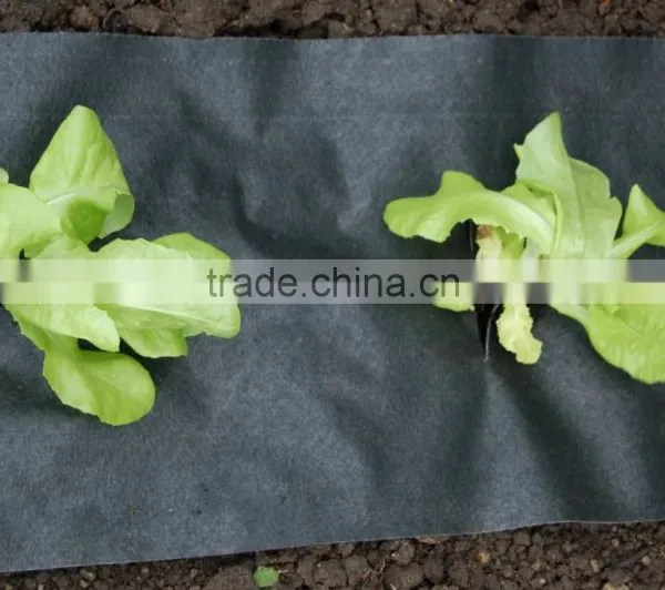 Black Plastic Ground Cover Mesh photo-4