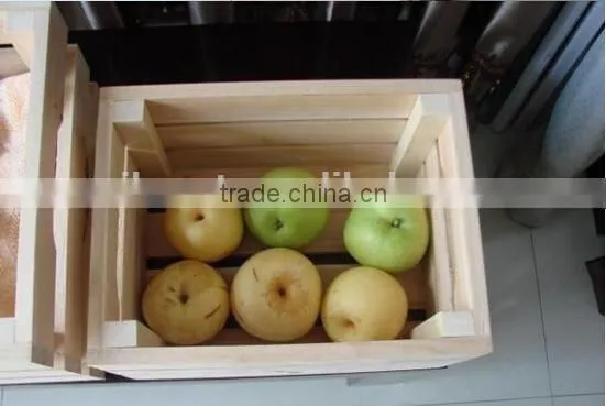 Fruit Wooden Tray photo-3