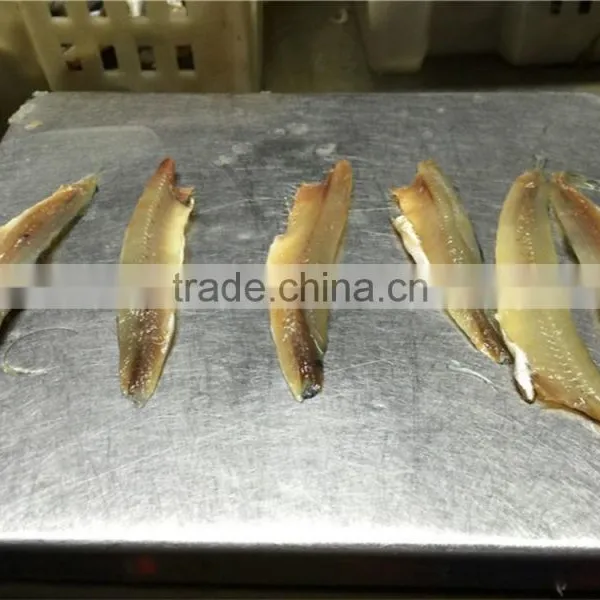 Sea Frozen Anchovy Fillets in Vinegar Water photo-2