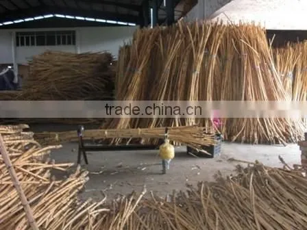 Raw Manau Rattan Cane Roots photo-5