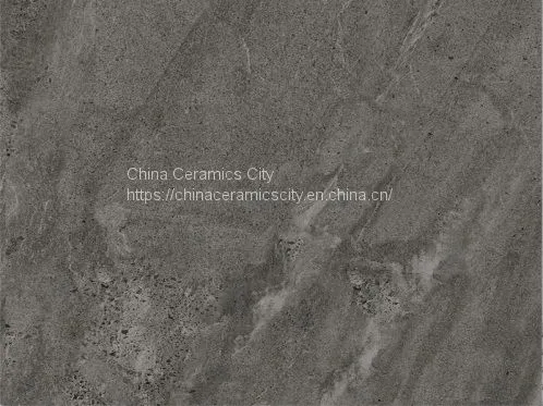 [DOSUN]Homogeneous Rustic Tiles