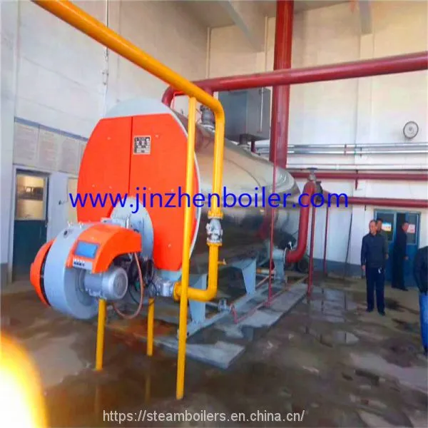 Industrial Combined Condensing Gas Oil Fired Steam Boiler Price For School Swimming photo-3