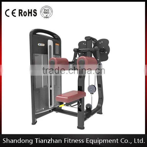 Commercial Fitness Equipment/ TZ-4010 Lateral Raise / Life Fitness Equipment