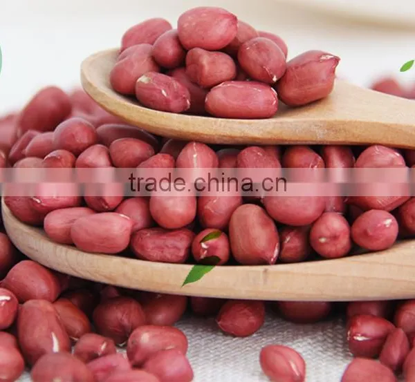Commercial Electric Oil Press Machine Made in China photo-5