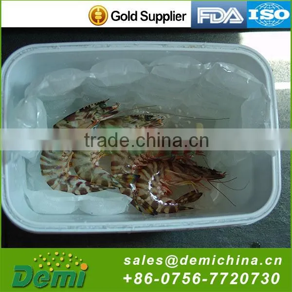 Hot Selling Cheap Custom Camping Ice Pack photo-3