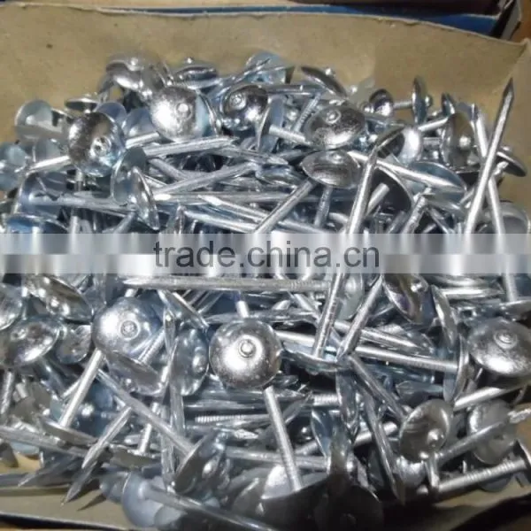 Hot Sell Umbrella Head Roofing Nails photo-2