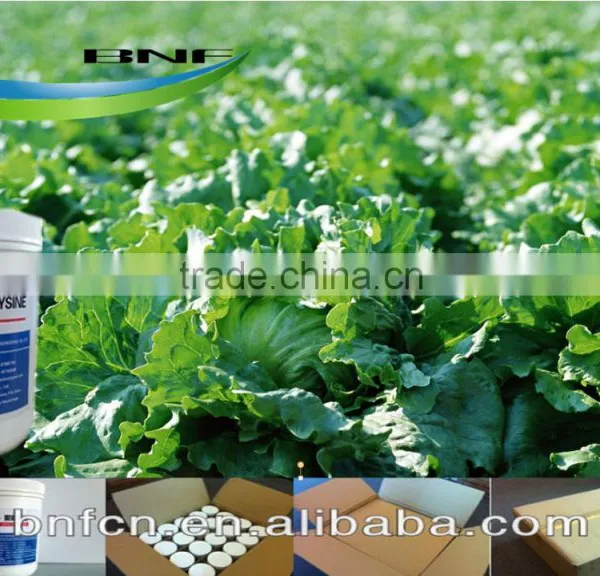 Biological Food Additives for Vegetalbes photo-4