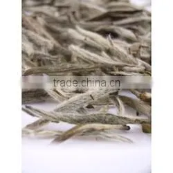 Organic White Tea