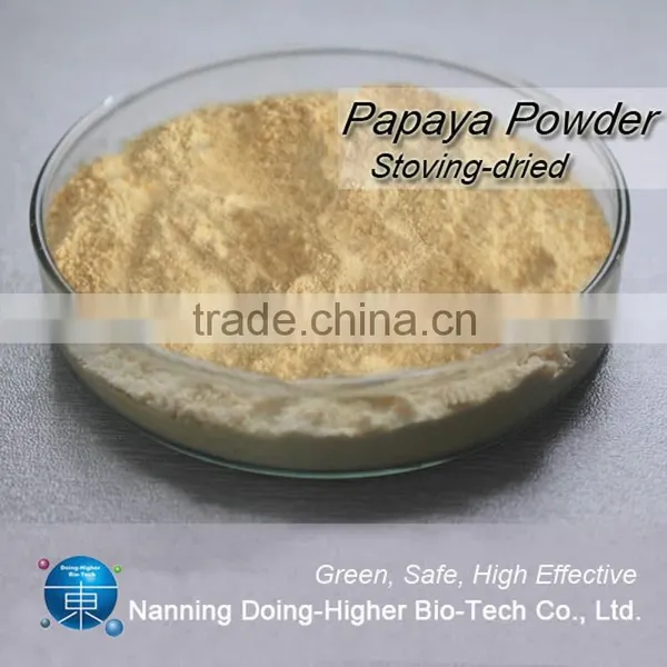 100% Natural High Quality Factory Supply Papaya Powder in Dried Fruit photo-2