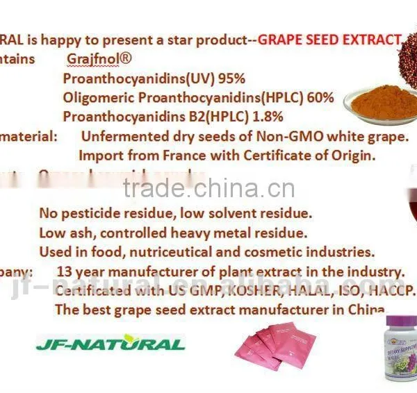 Grape Seed Extract High Content Opcs Manufacture ISO, GMP, HACCP, KOSHER, HALAL Certificated photo-2