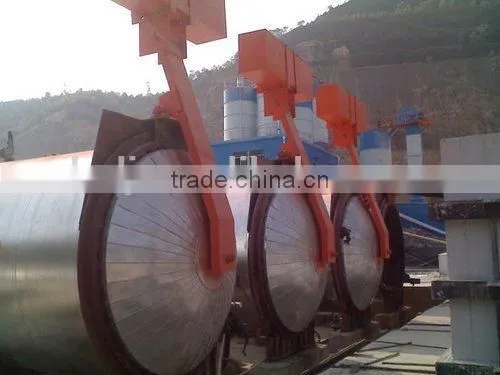 Aac Autoclave Aerated Concrete Block Manufacturer in Henan photo-2