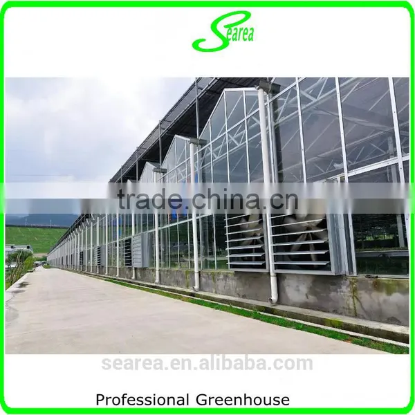 2014 Hot Sale Glass Greenhouse Used for Flower photo-5